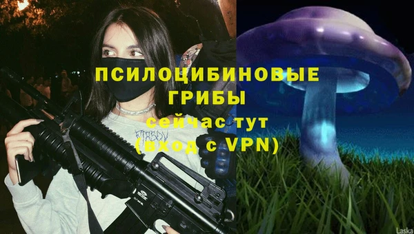 СК Магас