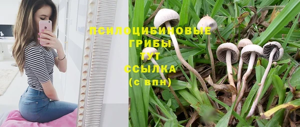 таблы Магадан