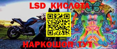 стаф Абинск