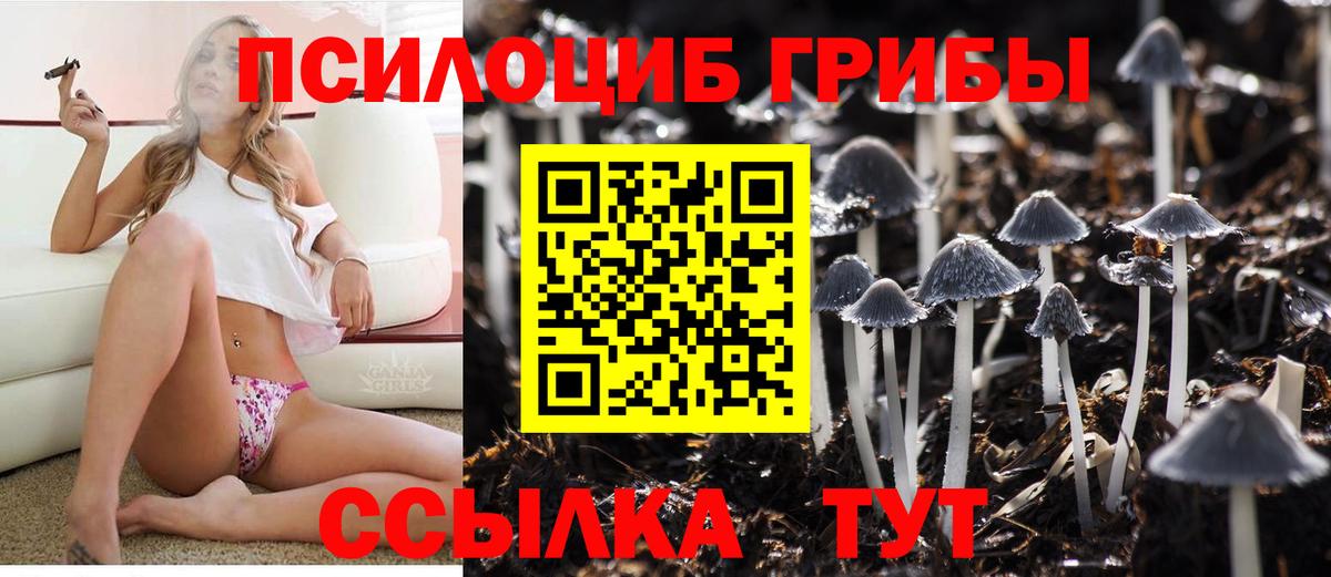 Галлюциногенные грибы мухоморы  Абакан 